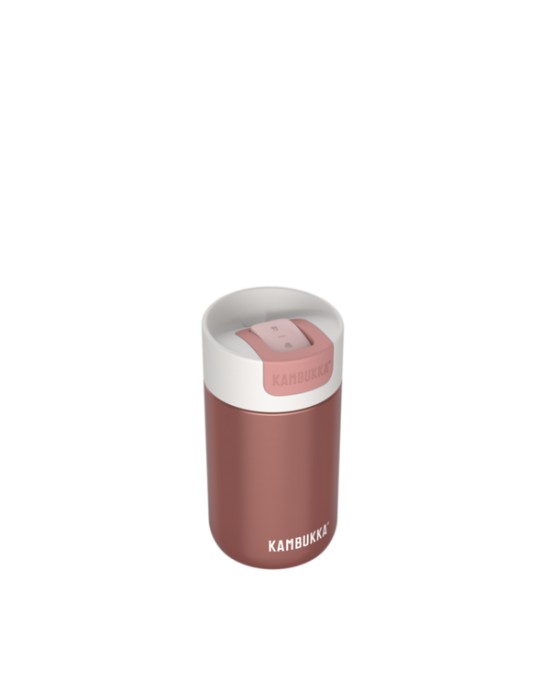 olympus kambukka 300ml