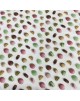 Tela blanca galletitas de colores  - 10 x 114cm
